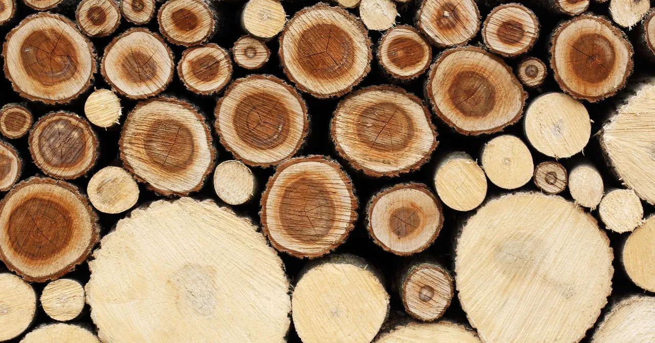 Wood Business: Technology is Changing it